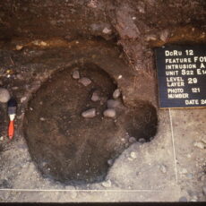 This is a photograph of the remains of a decomposed house post, surrounded by lighter coloured soil.