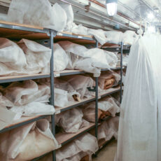This is a photograph of the fur vault at the Royal BC Museum, showing the storage of furs on shelves and hanging up.