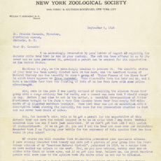 This is a photograph of page 1 of a letter from Dr. Hornaday.
