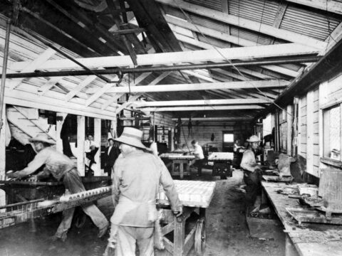 Cannery Workers