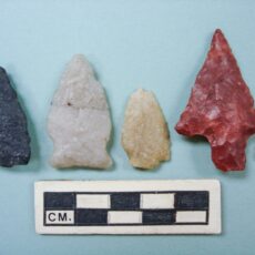 This is a photograph of flaked stone projectile points.