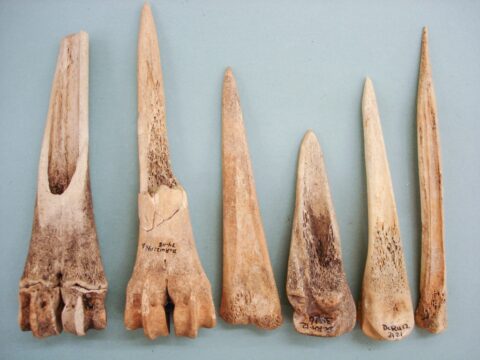Deer Bone Tools