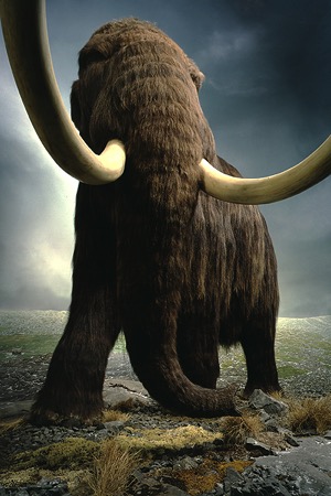 Mammoth Proportions - Learning Portal