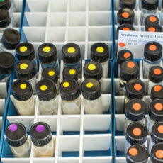 This is a photograph of a drawer filled with vials containing spider specimens at the Royal BC Museum.