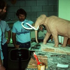 This is a photograph of museum staff creating a plasticine model of a Woolly mammoth.