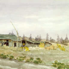 A Chinese farm between Cook and Moss streets, Victoria, ca. 1895.