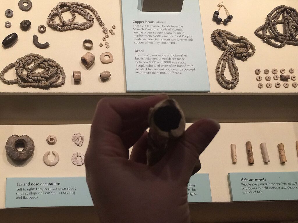 Material Evidence (Archaeology) Learning Portal