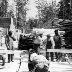 Black and white photograph of seven men working at a saw mill. There are piles of cut lumber stacked behind them. Some men are cutting lumber. The men are wearing work clothes, such as overalls or slacks with suspenders and button-up shirts.