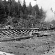 Black and white photograph of the Rock Bay Sawmill. There is a train to the right of the image and there is smoke coming from the train. To the left of the image there are several logs laid down as they are being unloaded from the train. There is a forest in the background of the image.