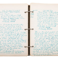 Two pages of entries from a journal of film reviews belonging to filmmaker Stanley Fox.