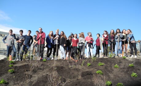 Oct 2 2015 student planting (1)