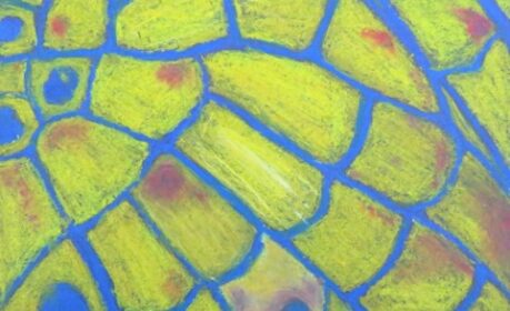 Andrew Gibbs Student Art 5