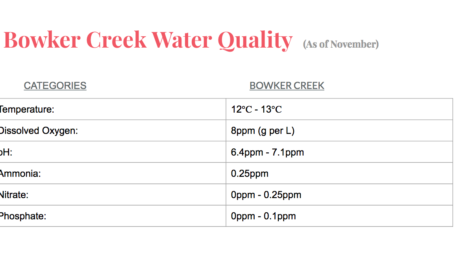 Bowker Creek Credentials