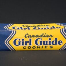 Une boîte de biscuits des Guides, rectangulaire et bleue, avec du lettrage jaune.
