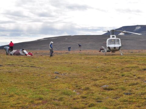 Watch videos about alpine plant collecting trips and botany at the Royal BC Museum.