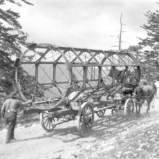 Horses haul the steel frame of the telescope tube up Little Saanich Mountain. A workman follows the cart on a steep, narrow road.