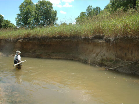 Riparian Zones Reducing the Risk or Erosion and Bank Failure