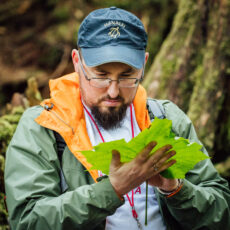 A researcher examines a large bright green leaf in his hand.