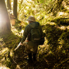 A researcher in outdoor gear is surrounded by lush green trees.