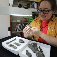 A woman smiles while holding a fossil claw under a bright lamp. On the table in front of her is a box with more fossilized bones.