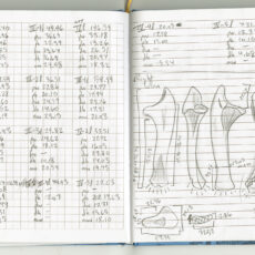 Two pages of a research notebook. The page on the left side has an organized list of roman numerals, letters and numbers written in pencil. The page on the right side has measurements and sketches of bones.
