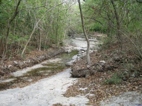 Bowker Creek And Dry Seasons