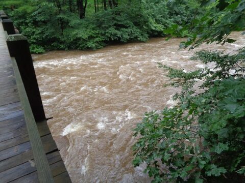flooded-creek