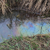 Oil spills in the creek