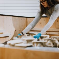 In a deep wooden crate, a conservator reaches over to grab one of the dozen orca vertebrae.