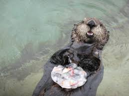 Some People Don’t Want Sea Otters