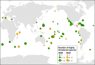 Why do islands have more invasive species?