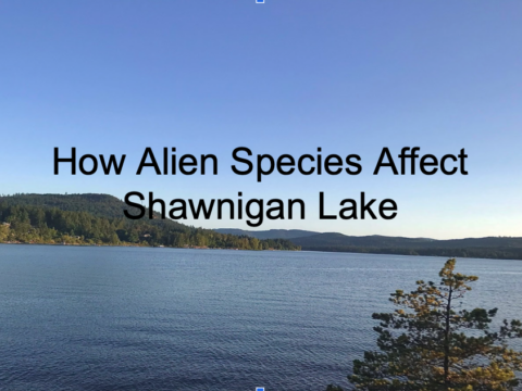 How Alien Species Affect Shawnigan Lake