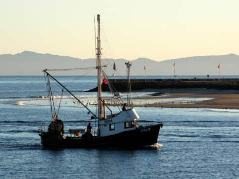 What is trawling and how does it affect the environment?