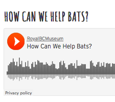 Listen to bat biologist, Dr. David Nagorsen, talk about how we can help bats in our community. 