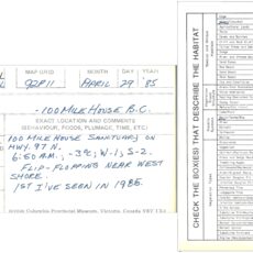The front and back of a fillable index card with handwritten notes including the name of the species, location, date, observer and additional notes.