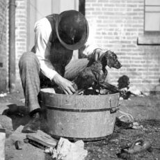 A man with a hat on leans over a wash tub bathing a small dog.