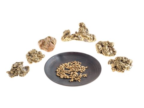 Gold Rush of BC